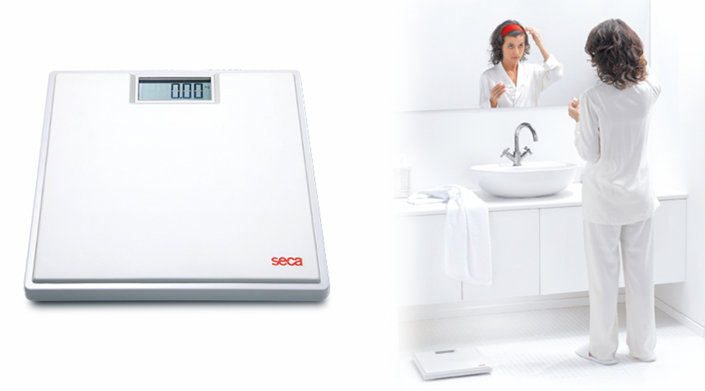 Seca 803 Flat scale