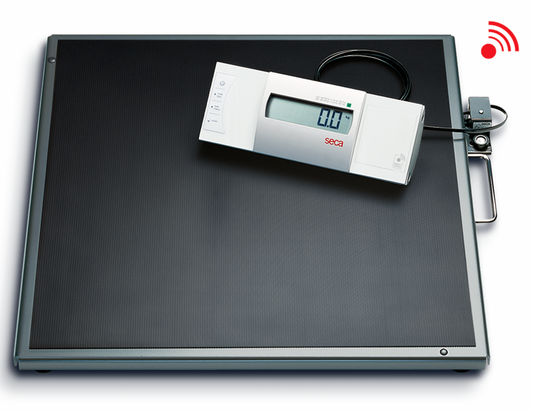 Seca 635 Flat scale