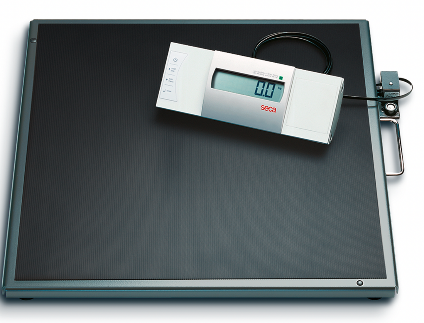 Seca 635 r Flat scale