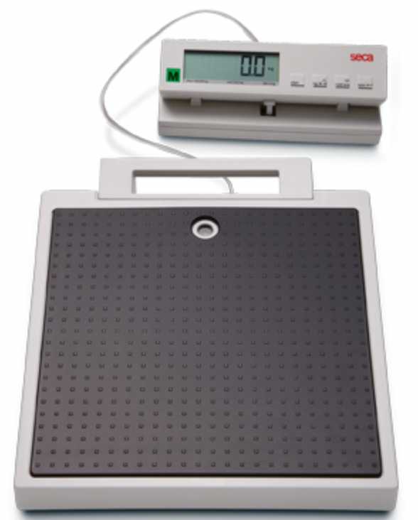 Seca 899 Flat scale