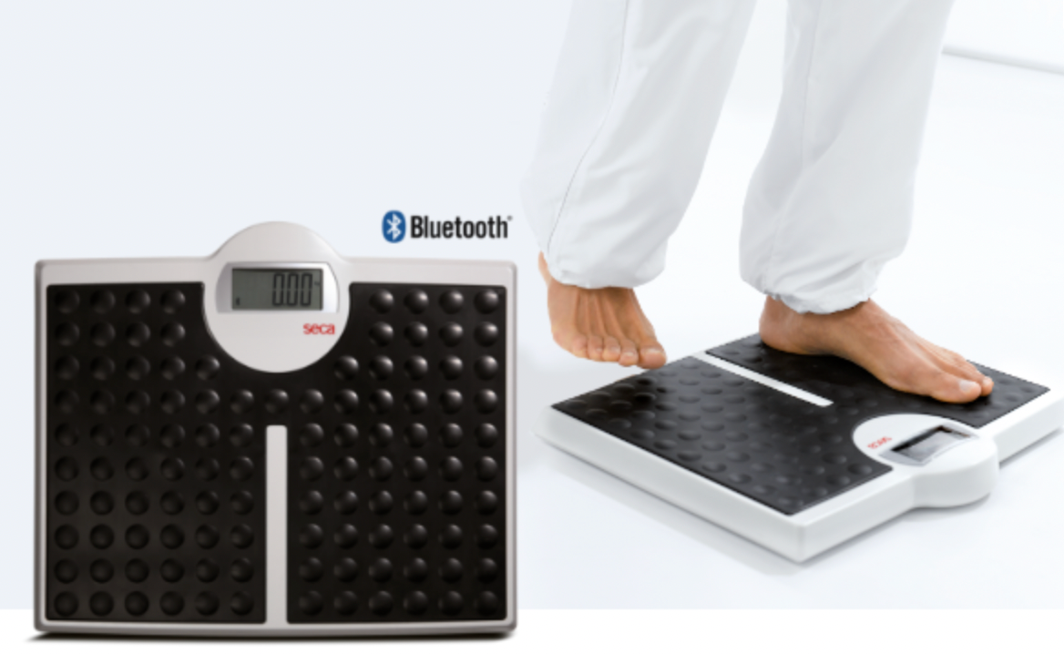 Seca 813 bt Flat scale