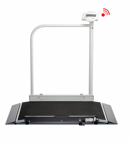 Seca 677 multifunctional scale