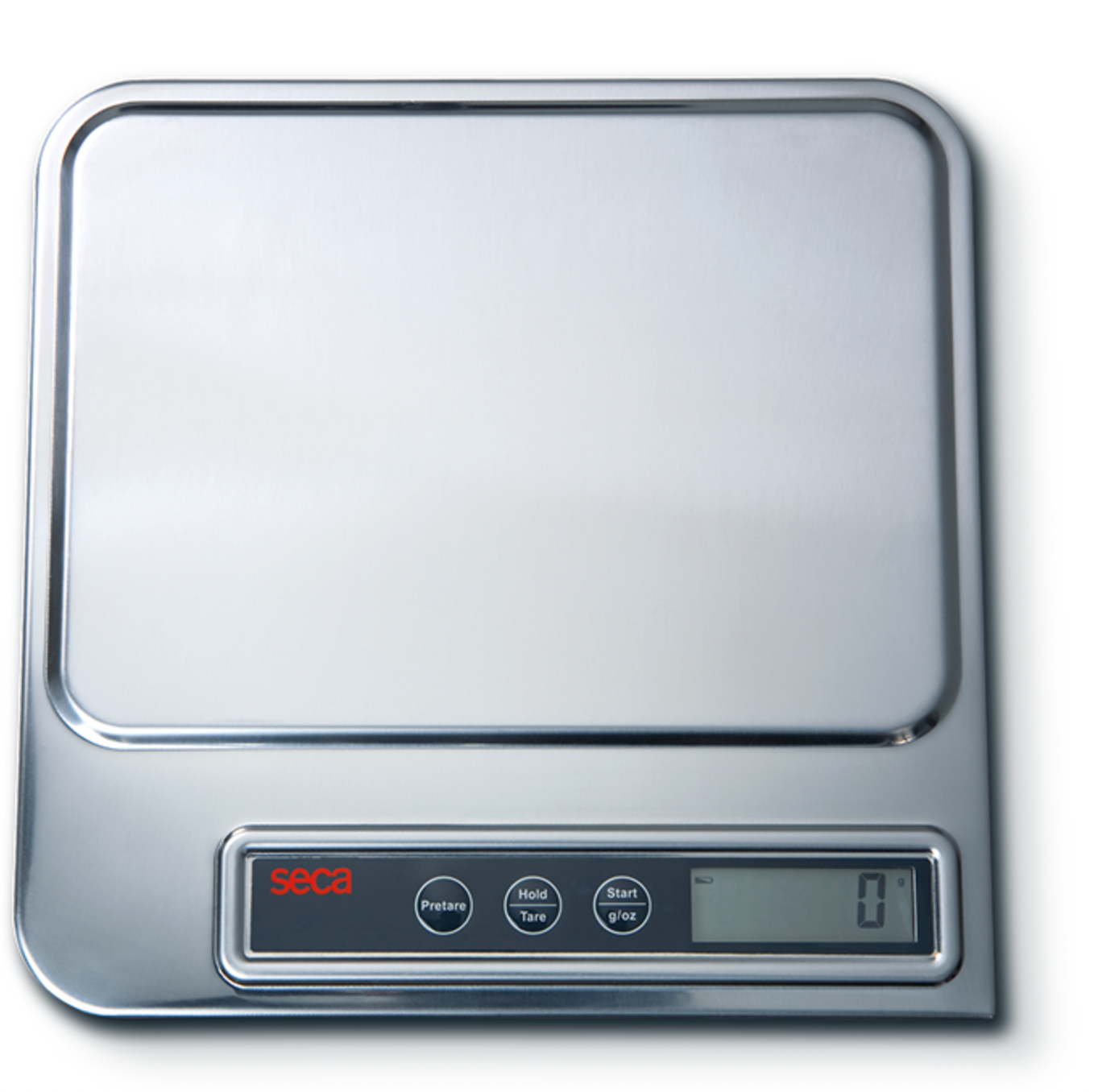 Seca 856 organ & diaper scale