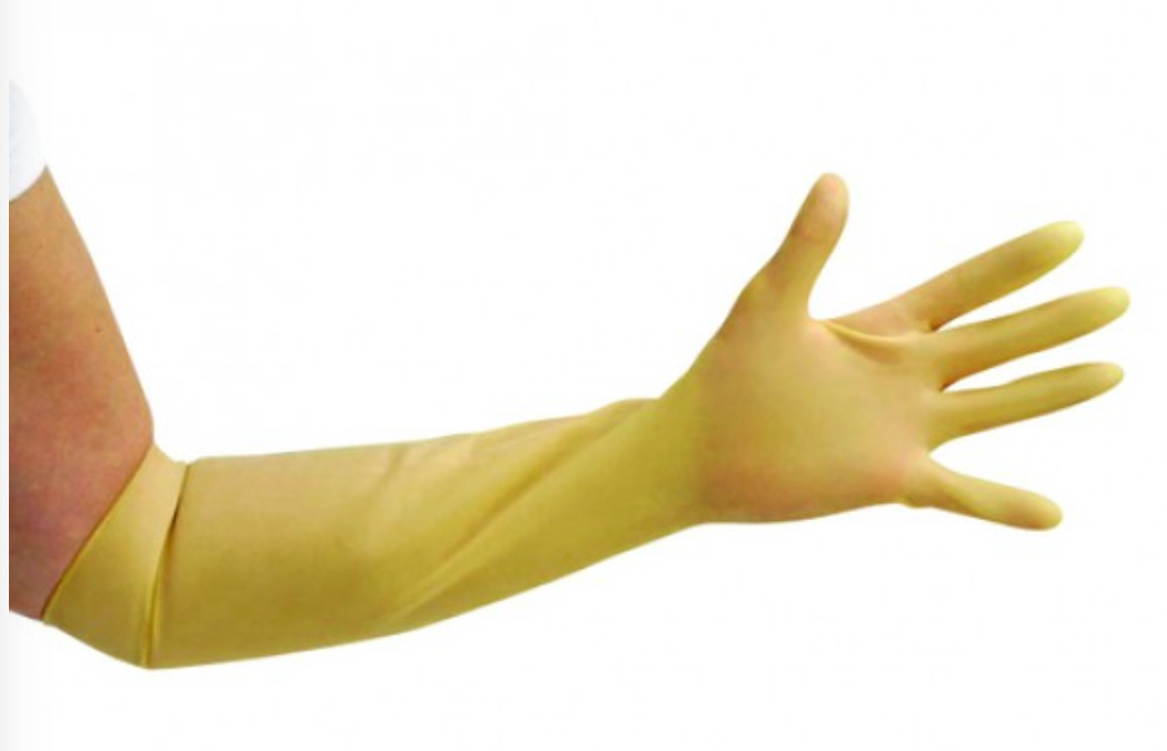 Premier Arm Length Powder Free Latex Gauntlet - Small