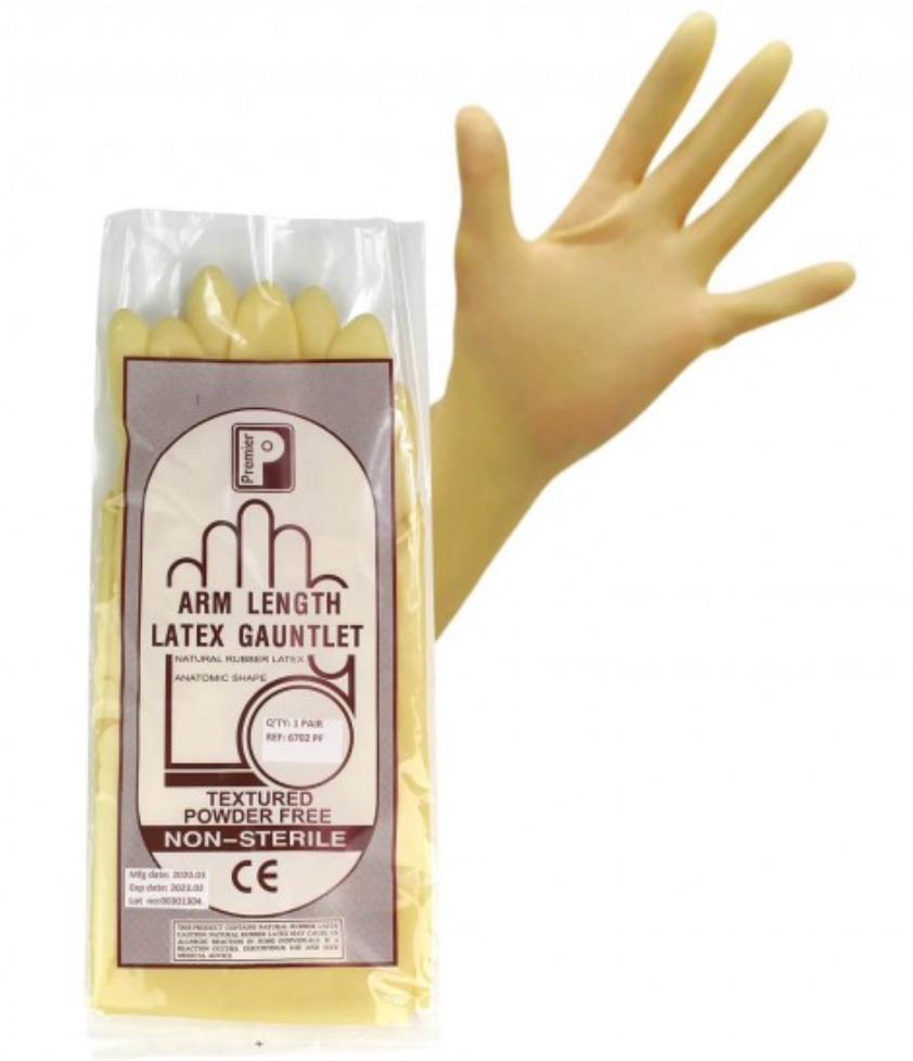 Premier Arm Length Latex Gauntlet PF Rubber Gloves (M)