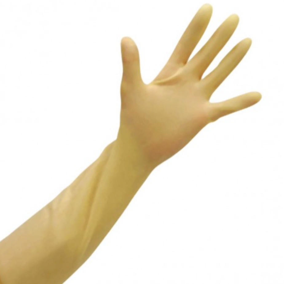 Premier Arm Length Latex Gauntlet PF Rubber Gloves (M)